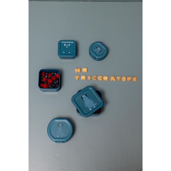 Lot de 2 boîtes à goûter à clip - Mr. Triceratops