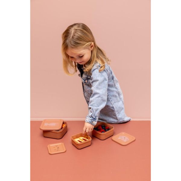 Lot de 2 boîtes à goûter à clip - Mrs. Cat