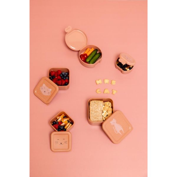 Lot de 2 boîtes à goûter à clip - Mrs. Cat