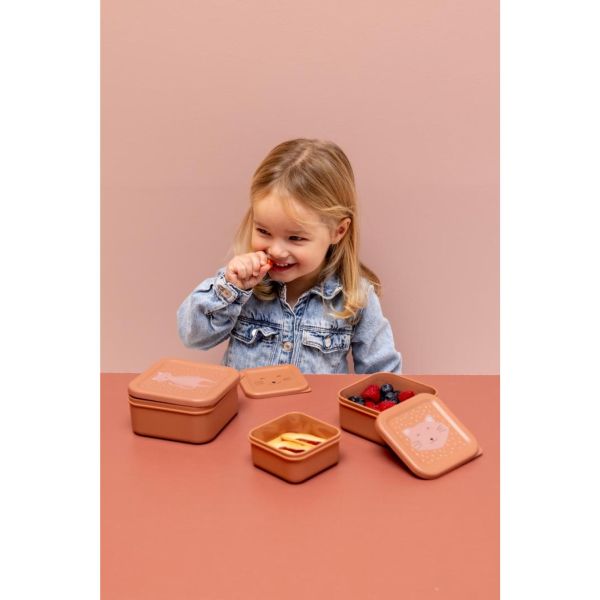 Lot de 2 boîtes à goûter à clip - Mrs. Cat