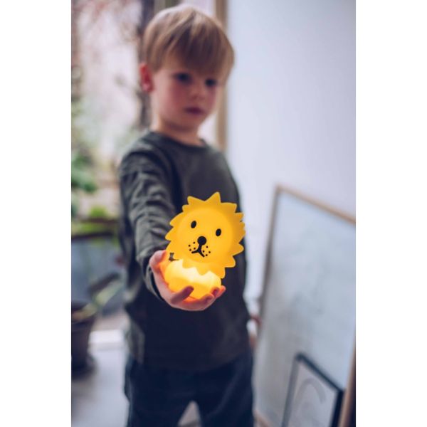 Petite veilleuse Bundle of light - Lion