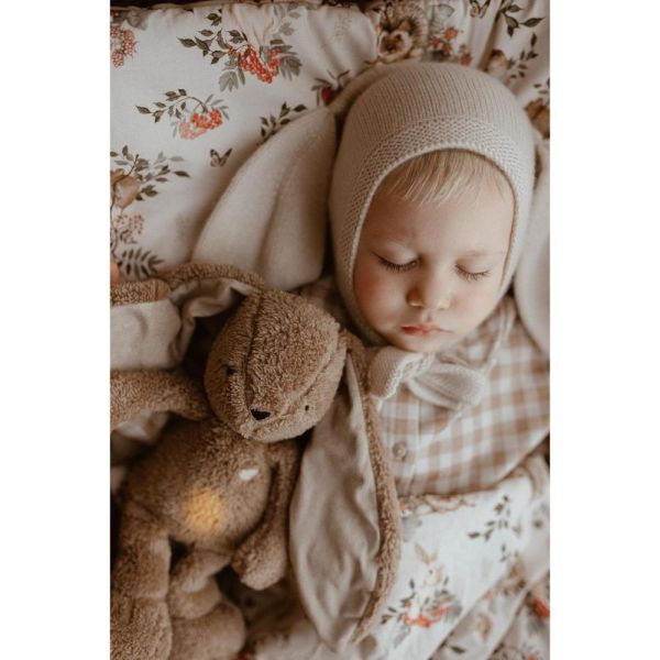 Peluche Bunny marron 5 en 1 avec lumière