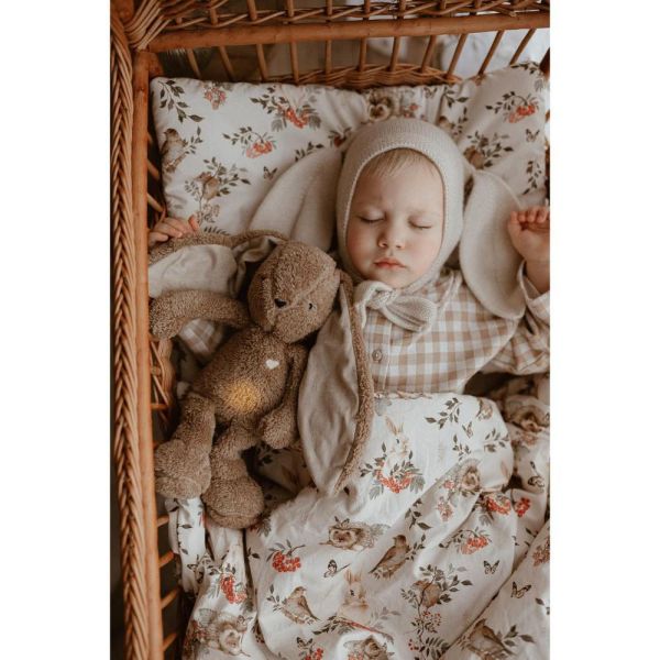 Peluche Bunny marron 5 en 1 avec lumière