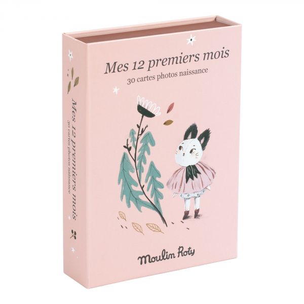 Cartes étapes de bébé (23 cartes) : Noukie's