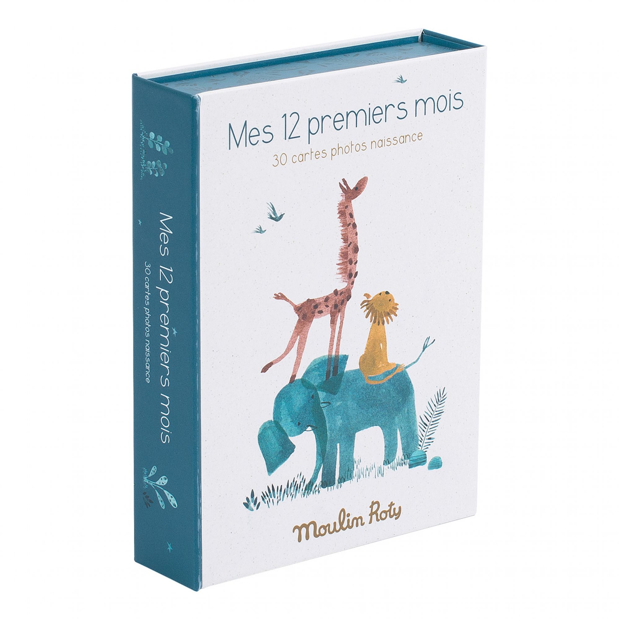 Livre de naissance Mes 5 premières années - Made in Bébé