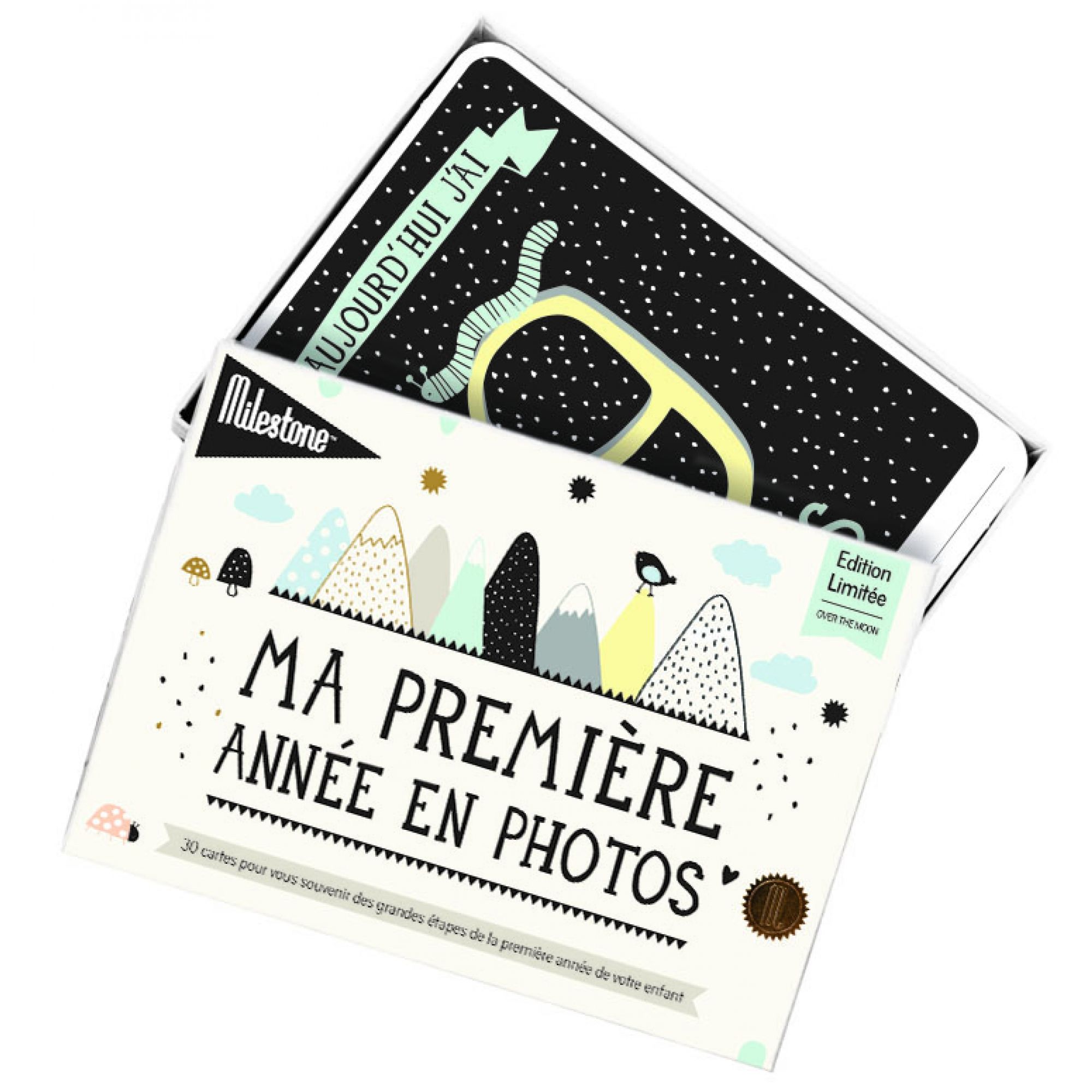 Cartes étapes Bébé "Ma Première Année" - 12 Cartes Mensuelles + Toise + Cadres + Bulles Illustrées - Pour Photos Souvenirs - Dimensions 17,5x23,2 Cm