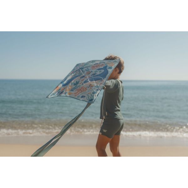 Cerf-volant - Ocean World