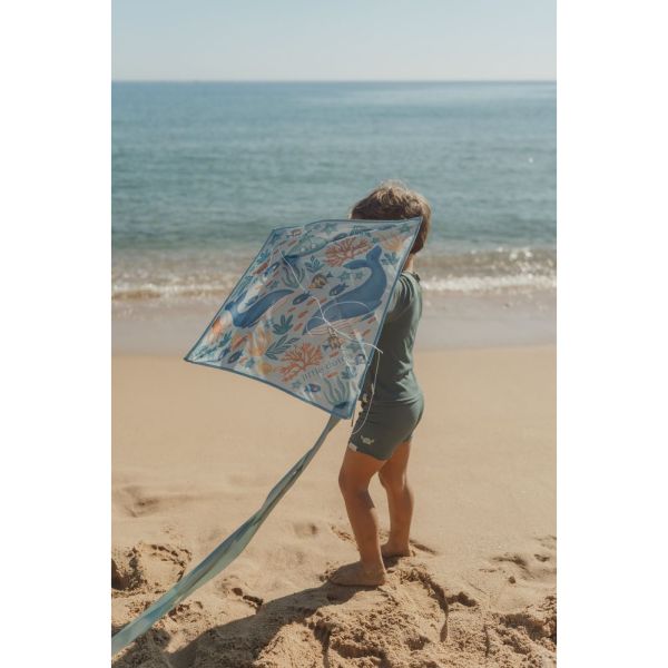 Cerf-volant - Ocean World