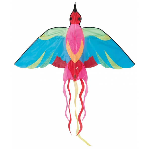 Cerf-volant oiseau