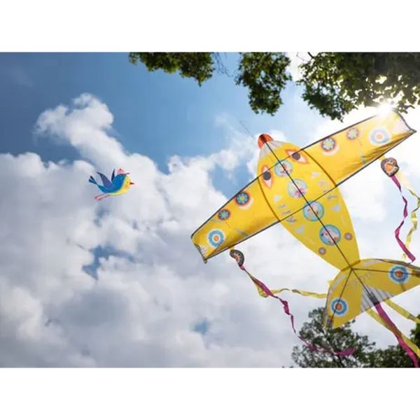 Cerf-volant Maxi Plane