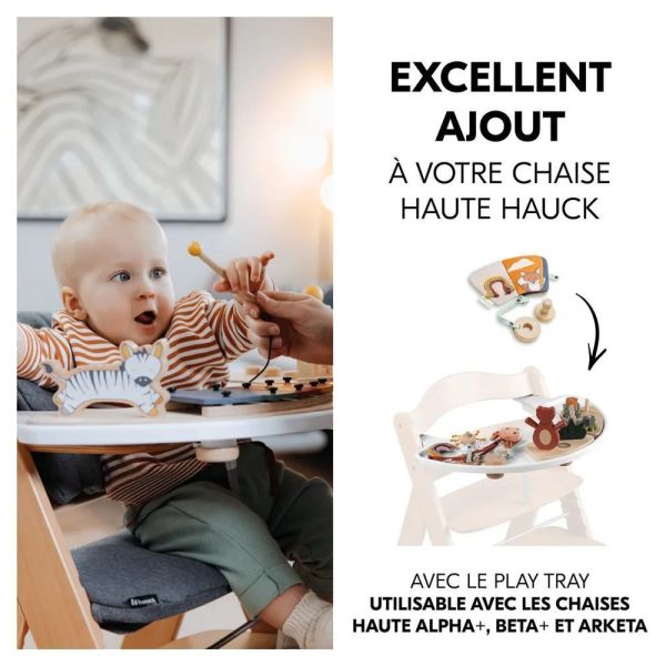 Pack Chaise haute évolutive Alpha Naturelle + tablette + Coussin Réducteur + 2 jeux
