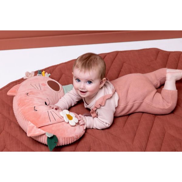 Coussin d'activités - Mrs. Cat