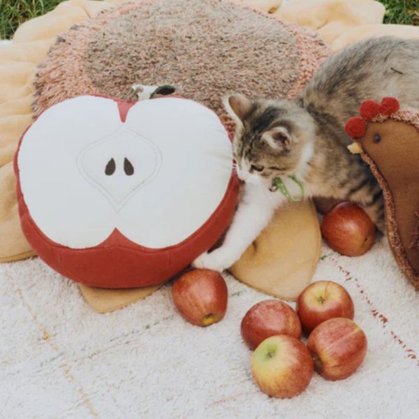 Coussin enfant Pomme