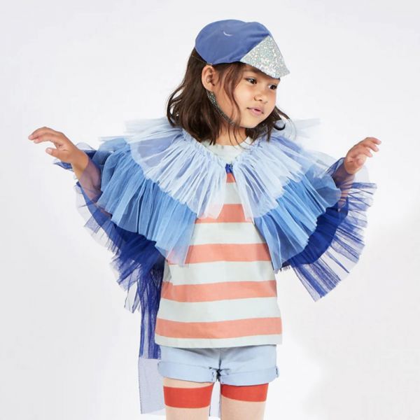 Déguisement d'oiseau bleu 3-6 ans