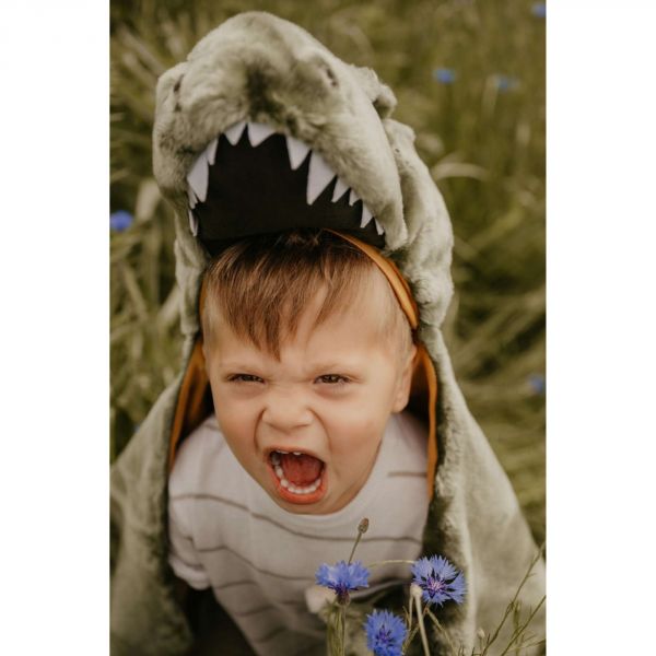 Déguisement pour enfant T-Rex