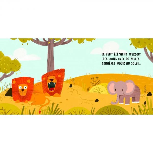 Douces histoires sonores : la savane