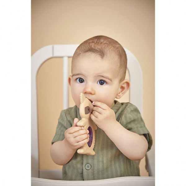 Lot de 2 anneaux de dentition et réfrigérant Raton laveur