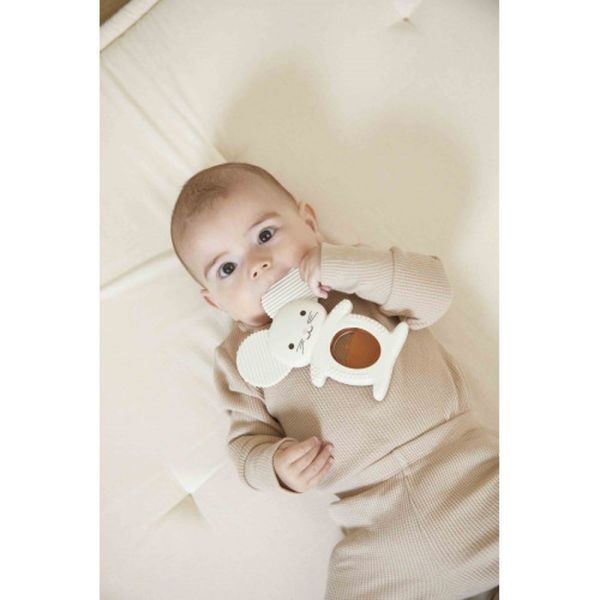 Lot de 2 anneaux de dentition et réfrigérant Souris