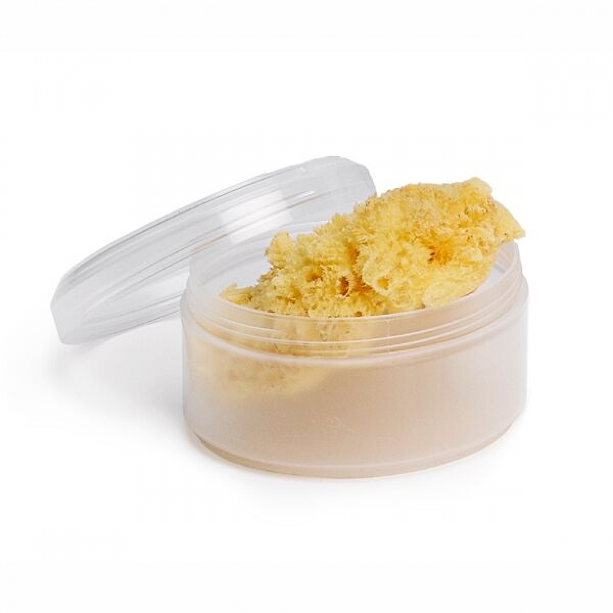 Suavinex Eponge Fibre Naturelle Avec Boite Made In Bebe