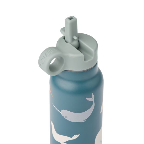 Gourde isotherme Falk 350 ml Arctic Sea Ocean view
