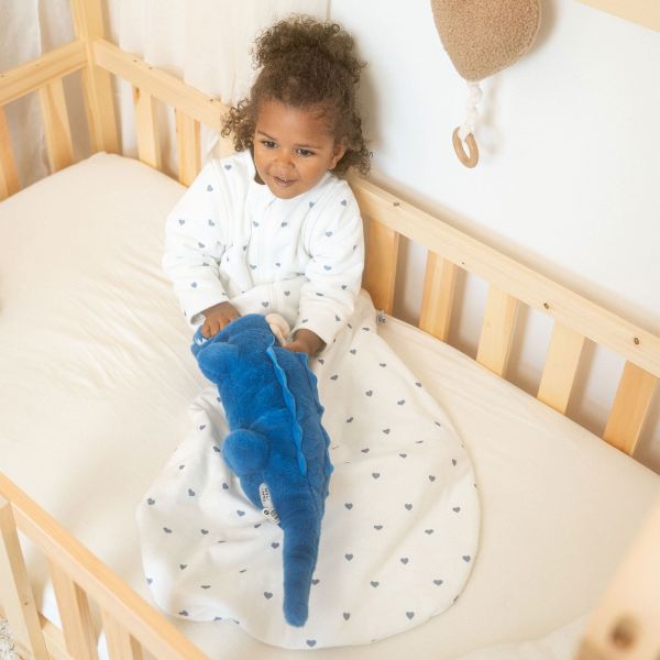 Gigoteuse coton manches amovibles Coeurs Bleus 18/36 mois