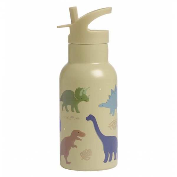 Gourde isotherme enfant Dinosaures