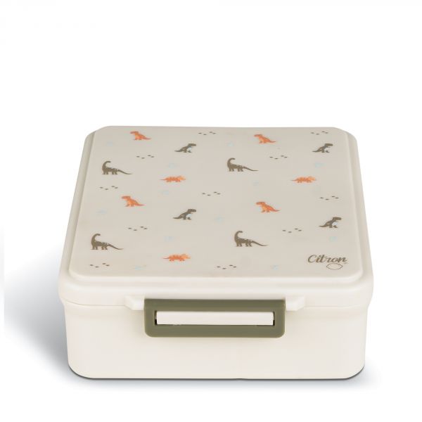 Grande lunch box isotherme Dinosaures