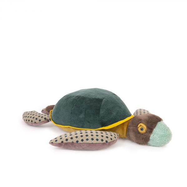 Grande tortue Tout autour du monde