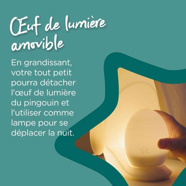 Veilleuse Pingouin nomade - Grobrite