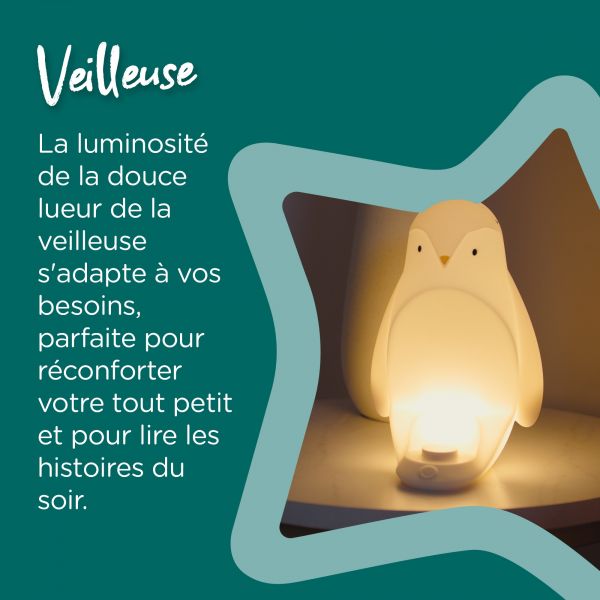 Veilleuse Pingouin nomade - Grobrite