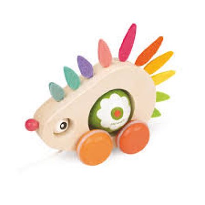 Hérisson à promener zigolos