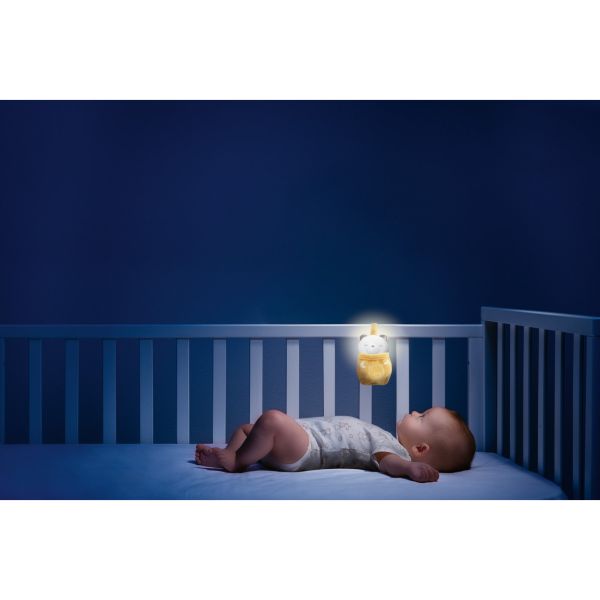 Hochet/Veilleuse Ourson Day&Night