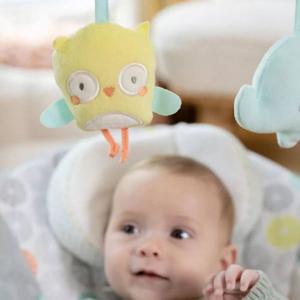 Balancelle bébé Hugs & Hoots
