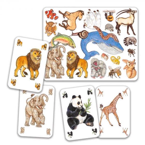 Jeu de cartes Zanimatch