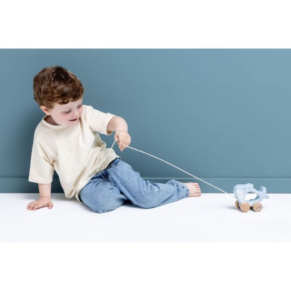 Jouet bébé à tirer en bois - Mr. Shark