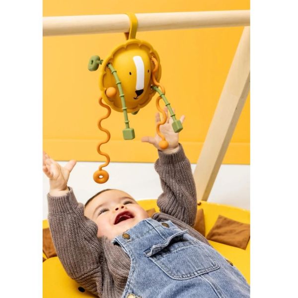 Jouet sensoriel à tirer en silicone Mr. Lion