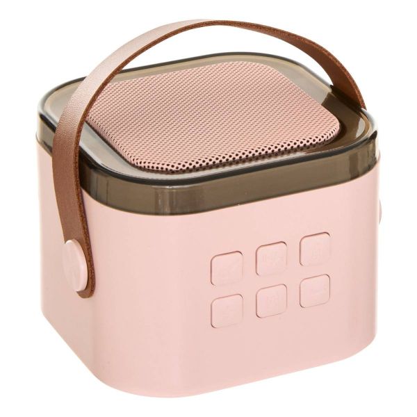 Karaoké enfant Kara rose avec 2 micros