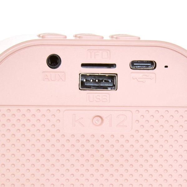 Karaoké enfant Kara rose avec 2 micros