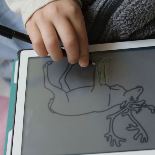 Tablette à dessiner format A5 thème Animaux du monde