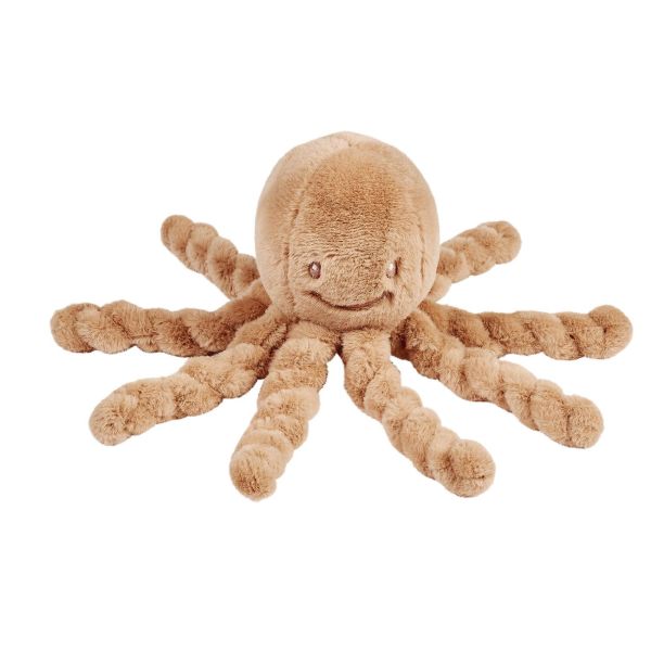 Pieuvre Toudous beige ambré