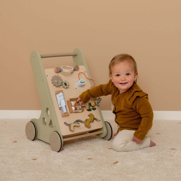 Chariot de marche Little Goose