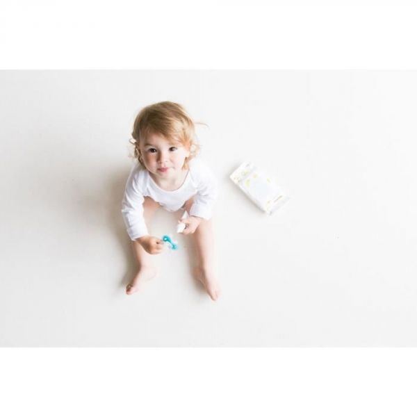Lot de 48 lingettes pour sucettes et jouets de dentition