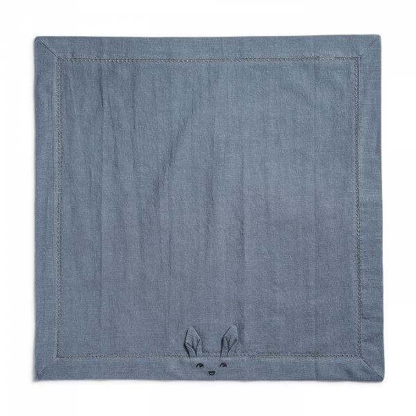 Lot de 2 serviettes de table Tender Blue et Juniper Blue