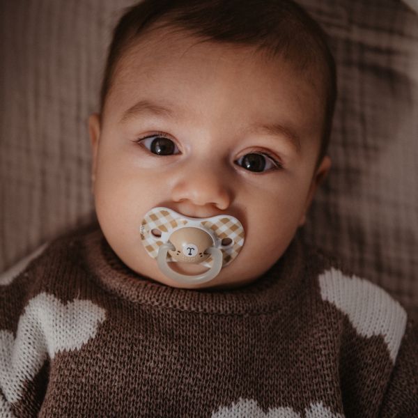 Lot de 2 sucettes symétriques SX Pro Wild&ampFree 0-6 mois Marron