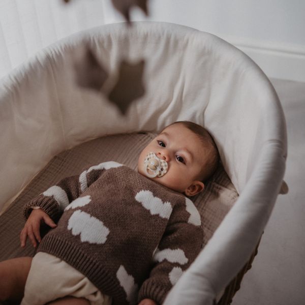 Lot de 2 sucettes symétriques SX Pro Wild&ampFree 0-6 mois Marron