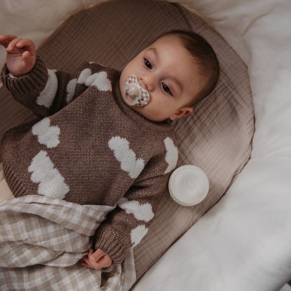 Lot de 2 sucettes symétriques SX Pro Wild&ampFree 0-6 mois Marron