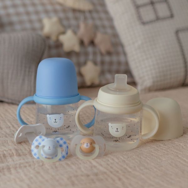 Lot de 2 sucettes symétriques SX Pro Wild&ampFree 0-6 mois Marron