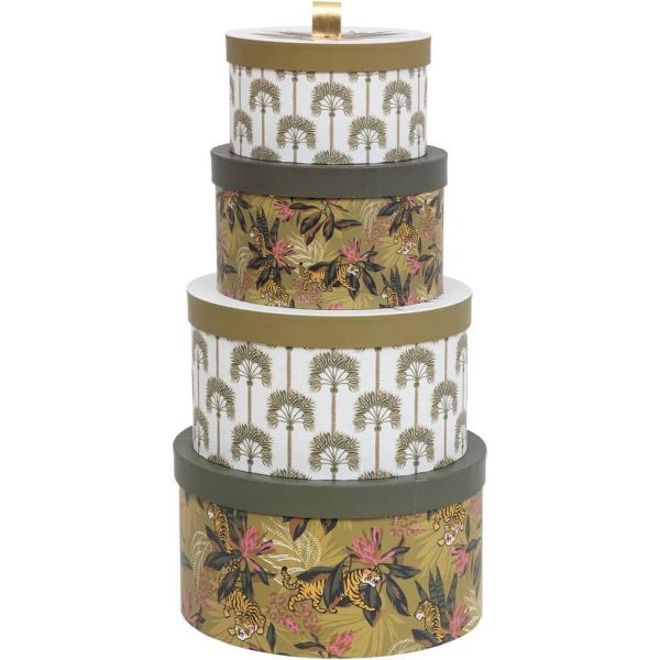 Lot de 4 boîtes de rangement Tropical