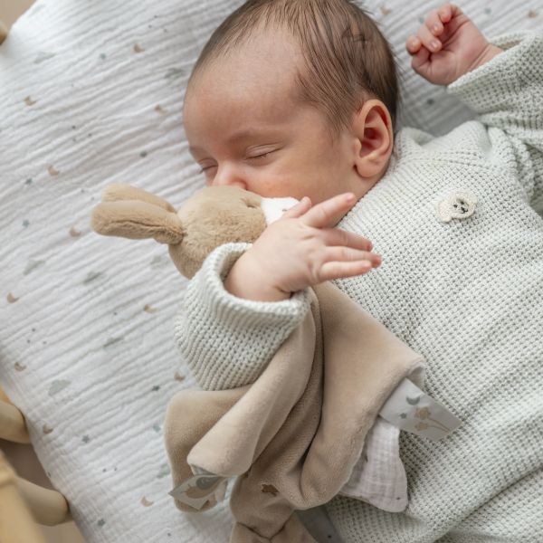Doudou Loulou âne velours caramel