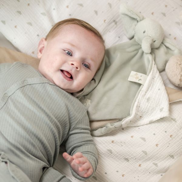 Maxi doudou Loulou elephant vert tilleul